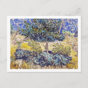 Trees Shrubs Asilum Garden Vincent Van Gogh Briefkaart