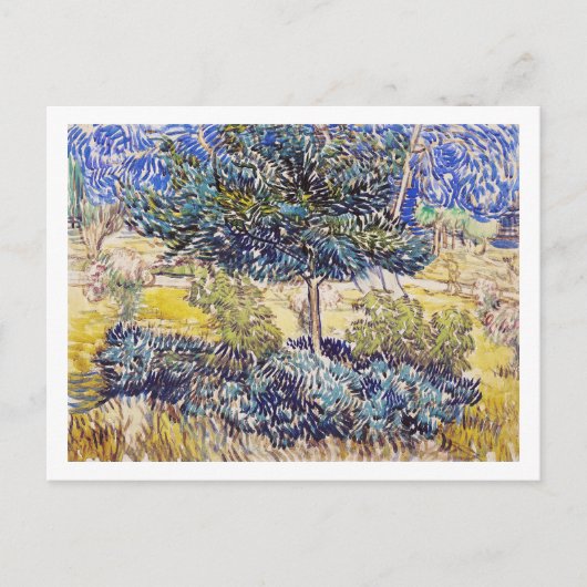 Trees Shrubs Asilum Garden Vincent Van Gogh Briefkaart (Voorkant)