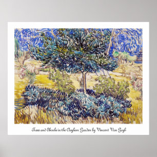Trees Shrubs Asilum Garden Vincent Van Gogh Poster