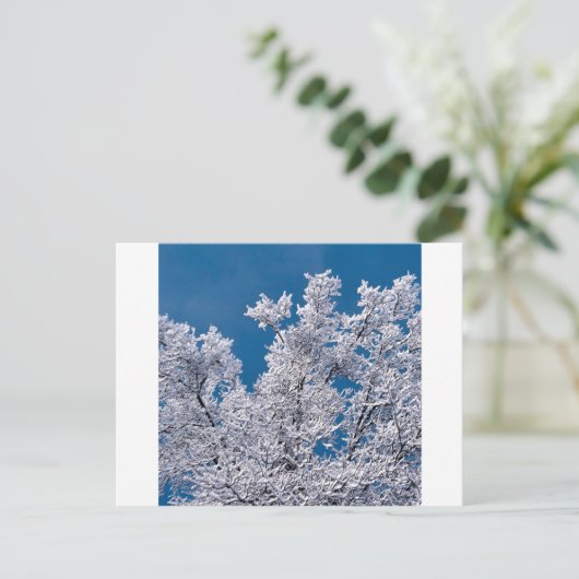 Trees Snow Branches Minnesota Briefkaart (Staand voorkant)