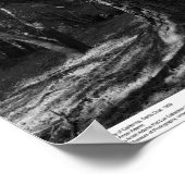 Trees, UC Santa Cruz, 1963 Poster (Hoek)