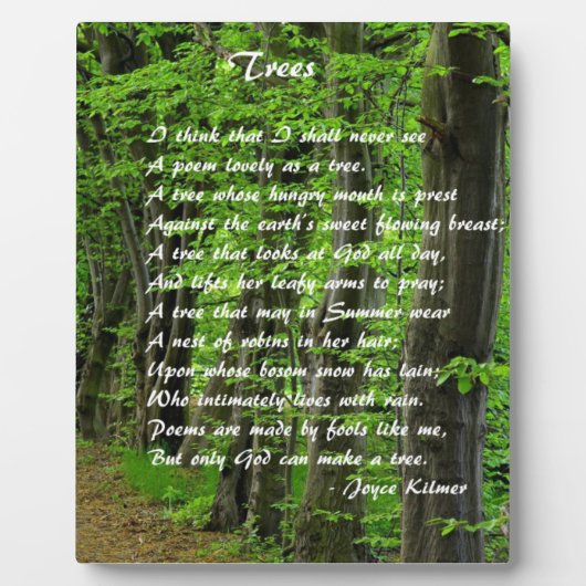 Trees van: Joyce Klimer Fotoplaat (Voorkant)