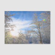 Trees Winter Snow Covered Blue Sky Clouds Scenery