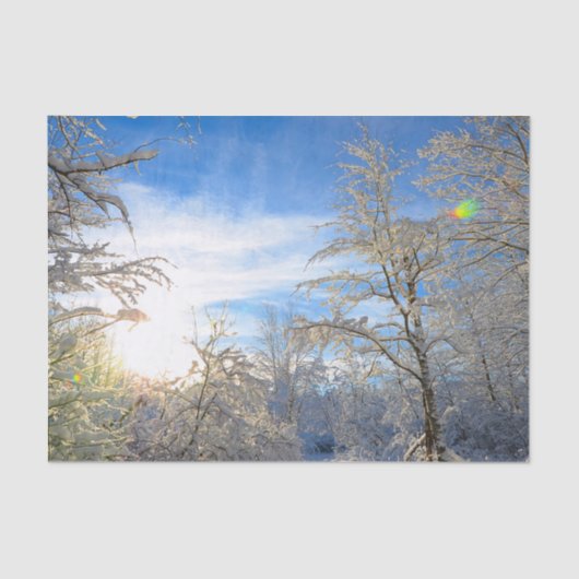 Trees Winter Snow Covered Blue Sky Clouds Scenery Tissuepapier (Voorkant)