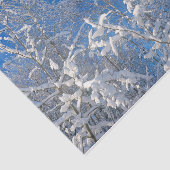 Trees Winter Snow Covered Blue Sky Scenery Tissuepapier (Detail)