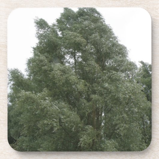 Treetops Cork Onderzetter (Voorkant)