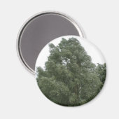 Treetops Magnet (Voorkant / Achterkant)