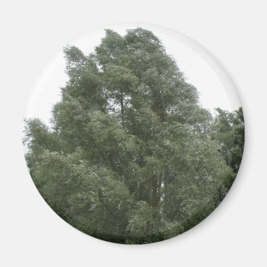 Treetops Magnet (Voorkant)