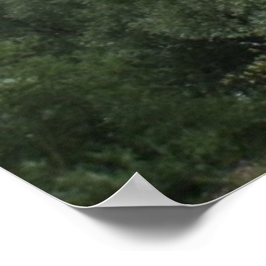 Treetops Print (Hoek)