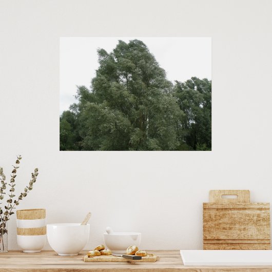 Treetops Print (Keuken)