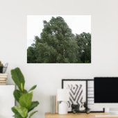 Treetops Print (Thuiskantoor)