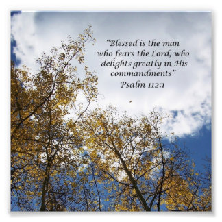 Treetops Psalms 11:23 de Foto van de SchriftFoto d Foto Afdruk