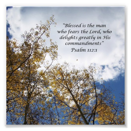 Treetops Psalms 11:23 de Foto van de SchriftFoto d Foto Afdruk (Voorkant)