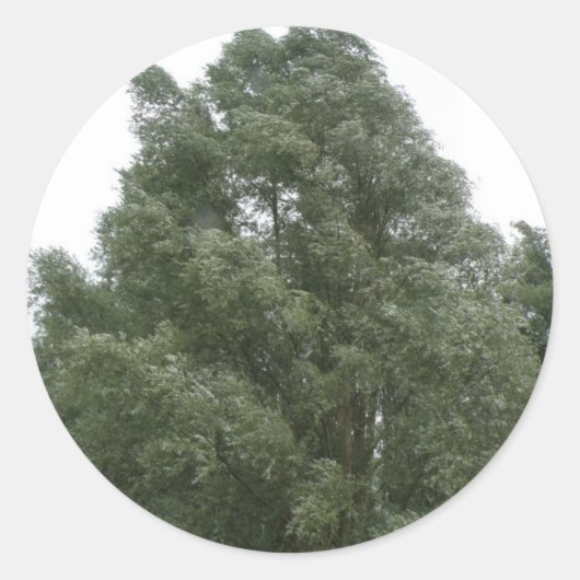 Treetops Stickers (Voorkant)