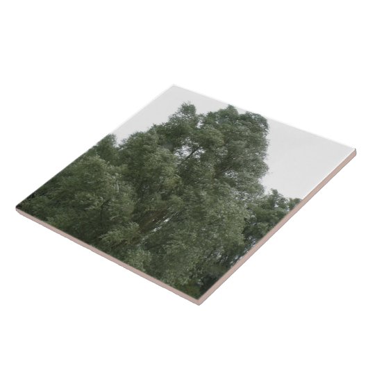 Treetops Tile Tegeltje (Zijkant)