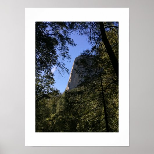 Treeview Yosemite Groen Blauw Kleur Fotografie Poster (Voorkant)