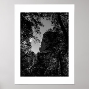 Treeview Yosemite Zwart-wit Fotografie Poster
