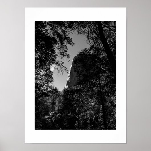 Treeview Yosemite Zwart-wit Fotografie Poster (Voorkant)