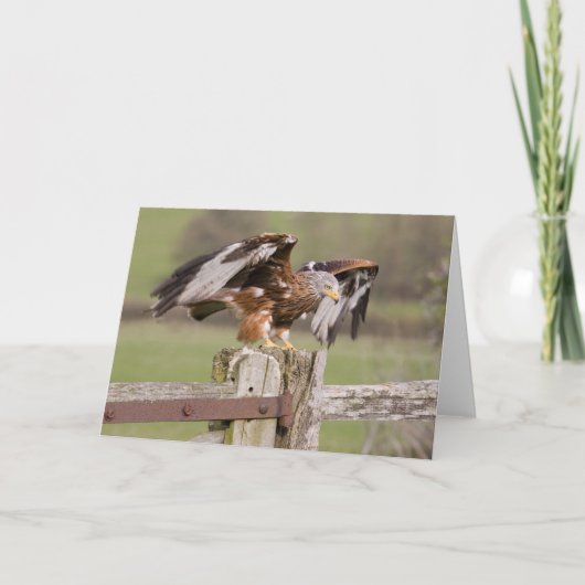 Tref voor Start voorbereidingen Kaart (Voorkant)