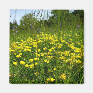Trefoil Magnet met vogelvoet