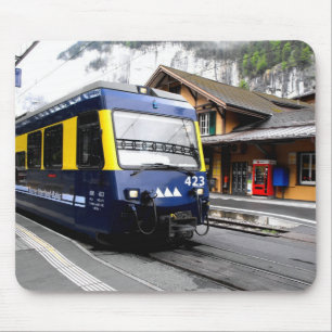 trein Berner Oberland bahn in Zwitserland Muismat