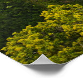 Trein boven Herfsten van Barron Poster (Hoek)