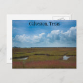 Trein en moerassen in Galveston, Texas Briefkaart (Voorkant / Achterkant)