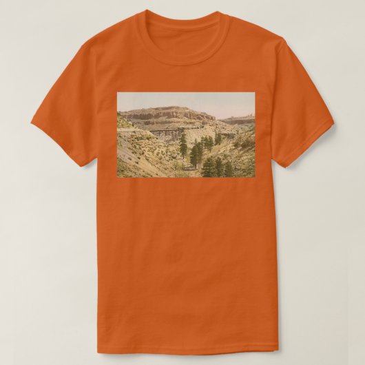 trein in de Grand Canyon T-shirt (Design voorkant)
