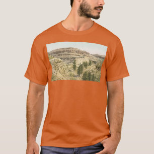 trein in de Grand Canyon T-shirt