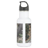 Trein op de Tehachapi-lijn Waterfles (Achterkant)