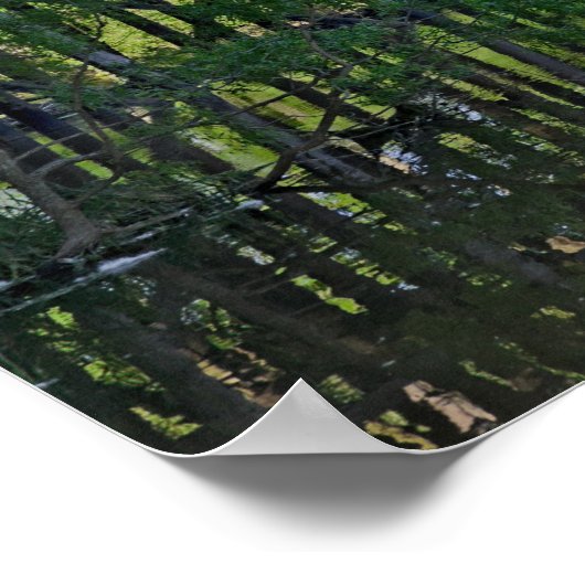 Trein Trestle Poster (Hoek)