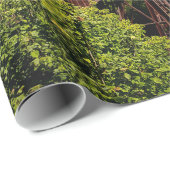  treinbrug foto cadeaupapier (Rol Hoek)