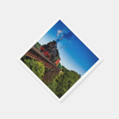  treinbrug foto servet (Hoek)