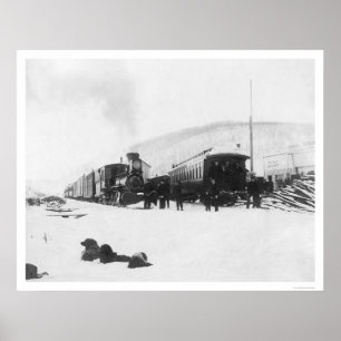 Treinen en honden Alaska 1916 Poster