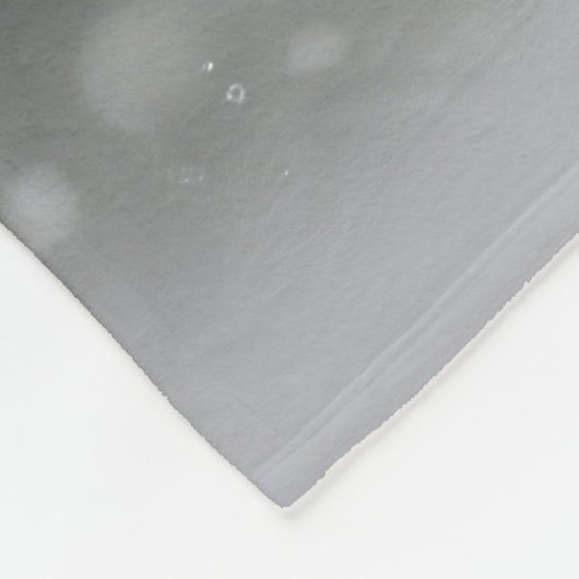 Treining Walker Coonhound Hond in Sneeuw Kerstmis Fleece Deken (Hoek)