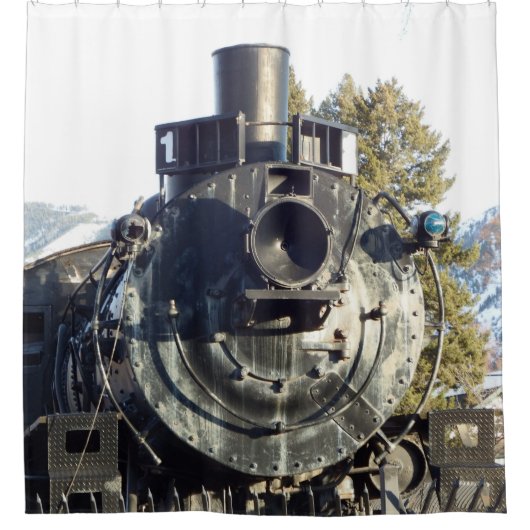 Treinmotor Douchegordijn (Voorkant)