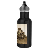 Treinmotoren met  locomotieven waterfles  (Rechts)