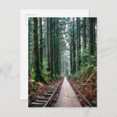 Treinsporen in het bos briefkaart (Voorkant / Achterkant)