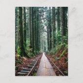 Treinsporen in het bos briefkaart (Voorkant)