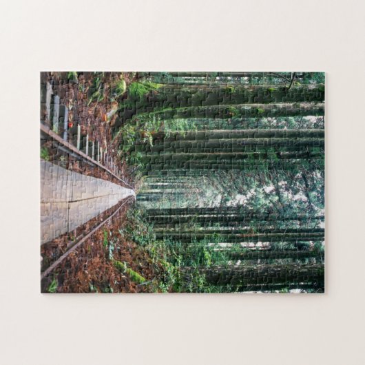 Treinsporen in het bos legpuzzel (Horizontaal)