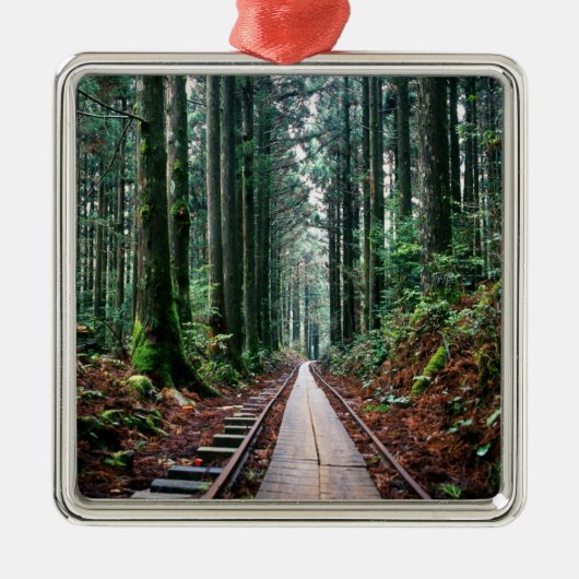 Treinsporen in het bos metalen ornament (Voorkant)