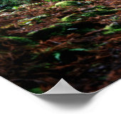 Treinsporen in het bos poster (Hoek)