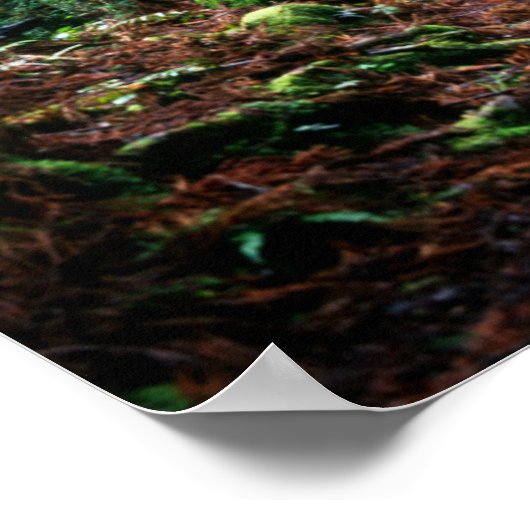 Treinsporen in het bos poster (Hoek)