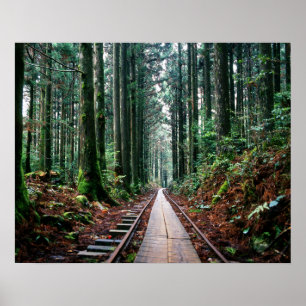 Treinsporen in het bos poster