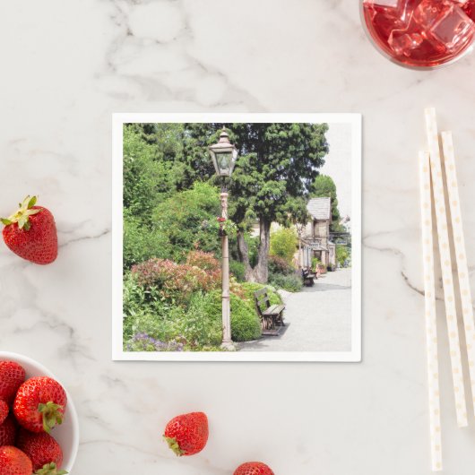 TREINSTALLATIES SERVETTEN (Insitu)