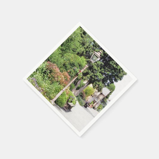 TREINSTALLATIES SERVETTEN (Hoek)