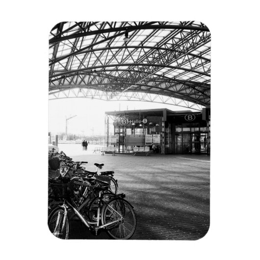 Treinstation Halle, België Magneet (Verticaal)
