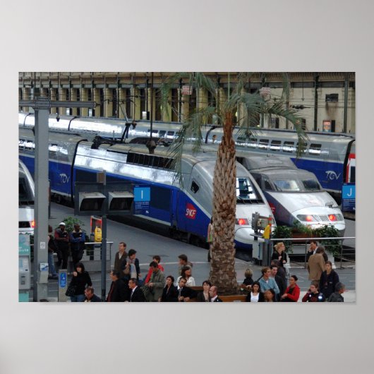 Treinstation Lyon. Parijs, Frankrijk Poster (Voorkant)