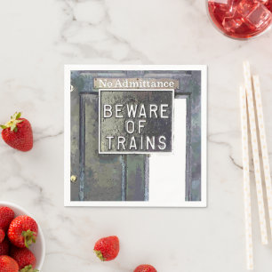 TREINSTATION SERVETTEN