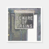 TREINSTATION SERVETTEN (Voorkant)